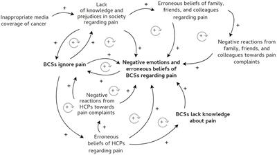 Survivors’ perceptions regarding the follow-up of pain complaints after breast cancer treatment: Distinct coping patterns